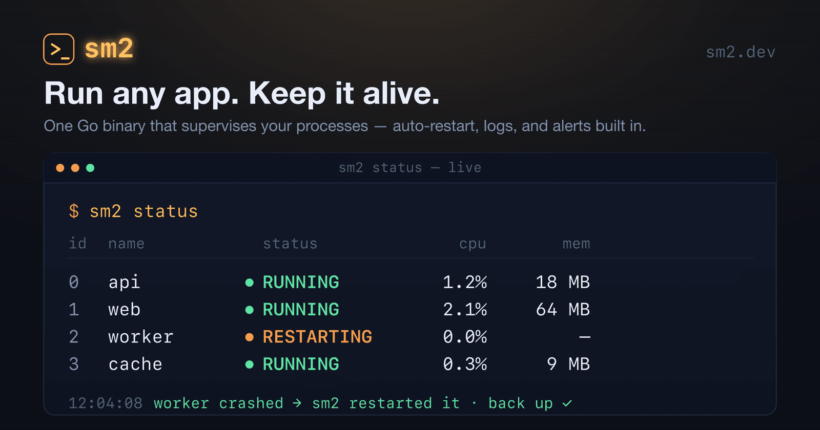 sm2 — run any app, keep it alive